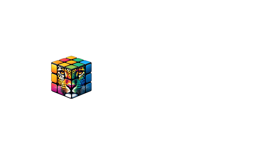 DIGITAL LEOPARD Video Marketing